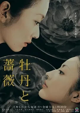 牡丹与玫瑰 (2004)全集-百度网盘1080P高清免费日剧资源插图