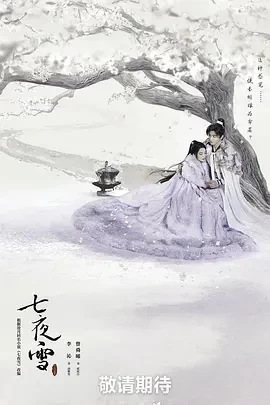 七夜雪 (2024)更至16集-百度网盘1080P高清免费国产剧资源插图