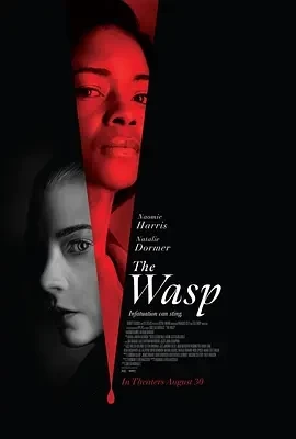 黄蜂蜇 The Wasp (2024)百度网盘1080P高清免费电影资源