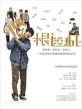 傻根进城 (2015)-全35集