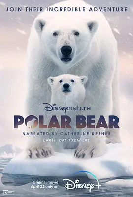 北极熊（2022）百度网盘资源-高清电影