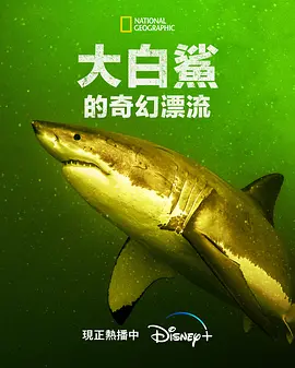 大白鲨的奇幻漂流（2023）1080P百度网盘资源纪录片全集免费高清在线观看