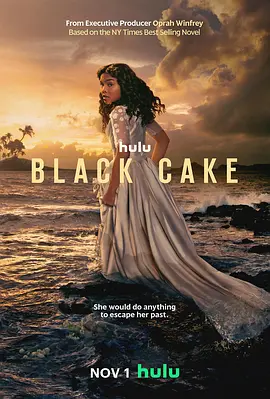 黑色蛋糕（2023）1080P百度网盘资源美剧全集免费高清在线观看