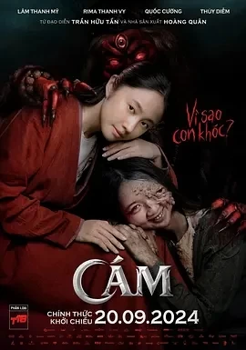 阿糠 Cám (2024)百度网盘1080P高清免费越南电影资源插图